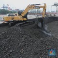 Harga Batu Bara Khusus Pupuk, APBI: Kami Hormati Pemerintah