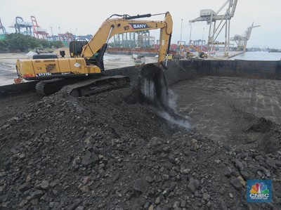 Pekerja melakukan bongkar muat batu bara di Terminal Tanjung Priok, Jakarta, Selasa (23/2/2021). Pemerintah telah mengeluarkan peraturan turunan dari Undang-Undang No. 11 tahun 2020 tentang Cipta Kerja. Adapun salah satunya Peraturan Pemerintah yang