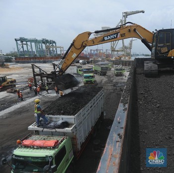 Diguyur Insentif, Ini Penampakan Terminal Batu Bara di Priok