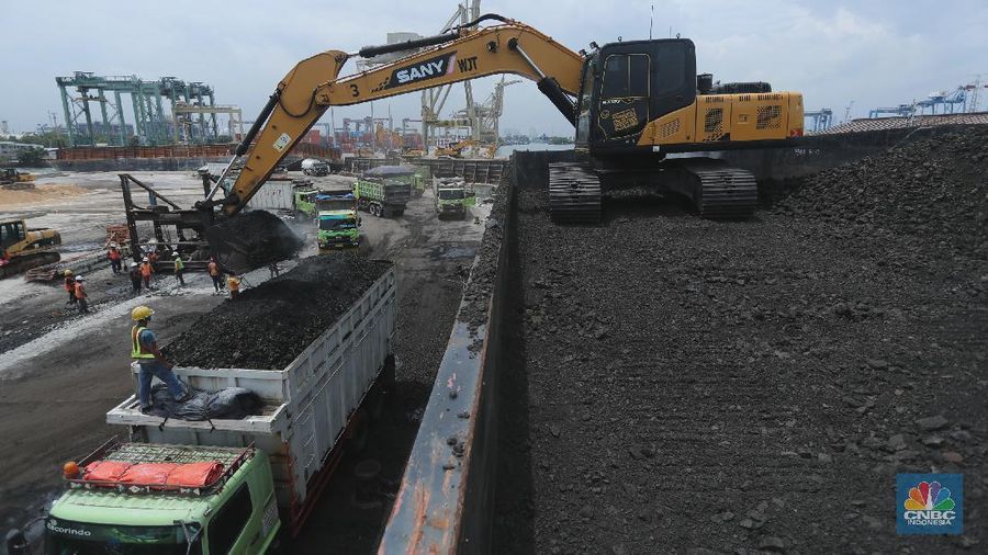 Pekerja melakukan bongkar muat batu bara di Terminal Tanjung Priok, Jakarta, Selasa (23/2/2021). Pemerintah telah mengeluarkan peraturan turunan dari Undang-Undang No. 11 tahun 2020 tentang Cipta Kerja. Adapun salah satunya Peraturan Pemerintah yang diterbitkan yaitu Peraturan Pemerintah No.25 tahun 2021 tentang Penyelenggaraan Bidang Energi dan Sumber Daya Mineral.  (վ/ Tri Susilo)