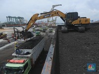 Laba Emiten Batu Bara (MCOL) Anjlok 77% pada Kuartal I-2025