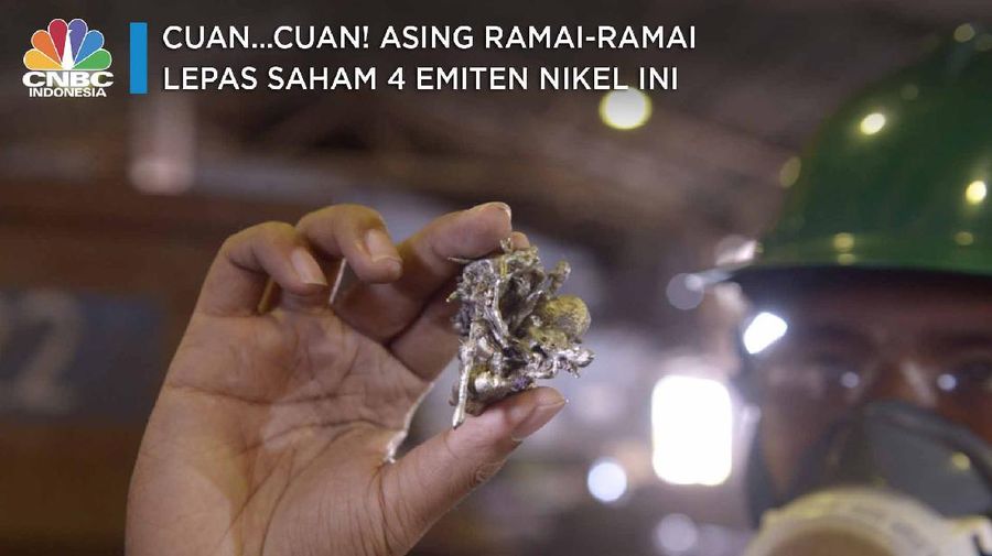 Cuan...Cuan! Asing Ramai-ramai Lepas Saham 4 Emiten Nikel Ini