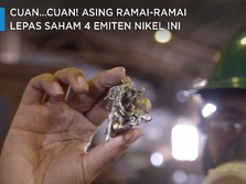 Cuan...Cuan! Asing Ramai-ramai Lepas Saham 4 Emiten Nikel Ini