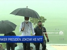Tinjau Lumbung Pangan, Presiden Jokowi Berkunjung Ke NTT