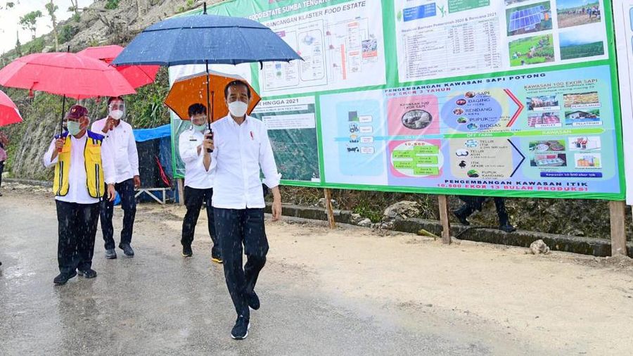 Presiden Joko Widodo melakukan peninjauan terhadap pembangunan lumbung pangan baru yang berada di Kabupaten Sumba Tengah. (Biro Pers Sekretariat Presiden/Muchlis Jr)