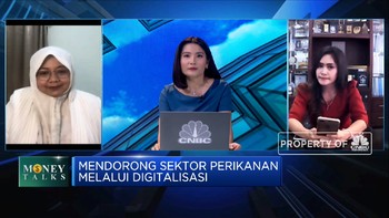 Aruna: Digitalisasi, Daya Tarik Investasi Bisnis Perikanan RI