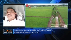Pola & Strategi Tanam Strategi Percepat Produksi Food Estate