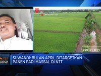 Pola & Strategi Tanam Strategi Percepat Produksi Food Estate