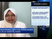 Digitalisasi Atasi Masalah Harga & Pasar di Sektor Perikanan