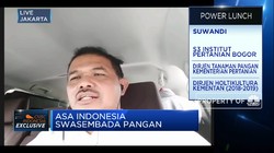 Perbaiki Tata Kelola, Impor Kedelai Bisa Berkurang 10%/thn