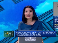 Startup Sektor Perikanan, Potensi Investasi Yang Menjanjikan