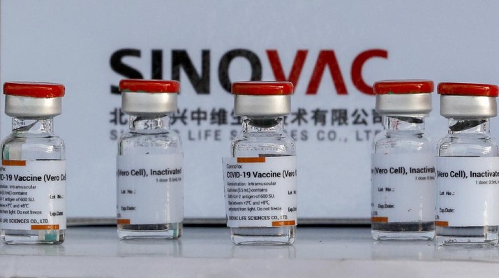 Vaksin Sinovac Samples of Sinovac vaccine are displayed at Suvarnabhumi airport in Bangkok, Thailand, Wednesday, Feb. 24, 2021, aheads of the arrival of first shipments of 200,000 doses of the Sinovac vaccine and 117,000 doses of the AstraZeneca vaccine on Feb. 24. (AP Photo/Sakchai Lalit)