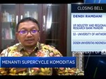 Commodity Boom, Ekonom Ingatkan Potensi Risiko Bubble