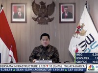 Ini Perintah Tegas Erick ke BUMN untuk Kurangi Impor RI