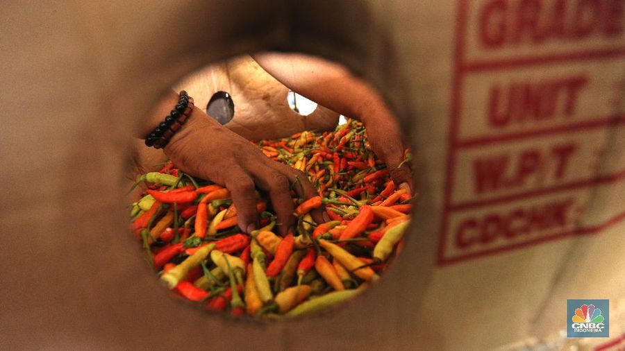 Sejumlah pedagang melakukan bongkar muat cabai rawit merah di Pasar Kramat Jati, Jakarta, Jumat (26/2/2021). Cabai rawit merah kini naik 100 ribu per kilogram yang sebelumnya hanya 60 ribu per kilogram, kenaikan diduga faktor dari cuaca ekstrem. Susanto (58) pedagang asal Jawa Tengah yang membuka lapak di Los H mengatakan 