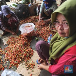 Tolong Pak Jokowi! Harga Cabe-cabean Mahal Sekali...
