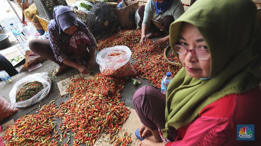 Penjualan Cabe Rawit di Pasar Kramat Jati
