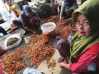 Makin Pedas! Harga Cabai Rawit Merah Tembus Rp 100.000/Kg