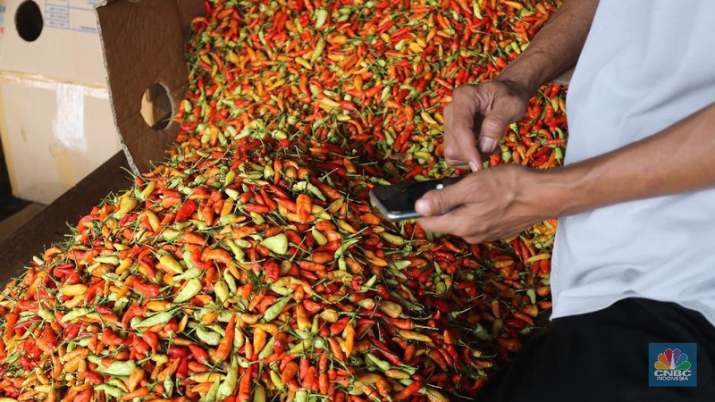 Sejumlah pedagang melakukan bongkar muat cabai rawit merah di Pasar Kramat Jati, Jakarta, Jumat (26/2/2021). Cabai rawit merah kini naik 100 ribu per kilogram yang sebelumnya hanya 60 ribu per kilogram, kenaikan diduga faktor dari cuaca ekstrem. Susanto (58) pedagang asal Jawa Tengah yang membuka lapak di Los H mengatakan 