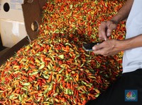 Gejolak Migor-Daging Belum Kelar, Harga Cabai Ikut 'Terbang'