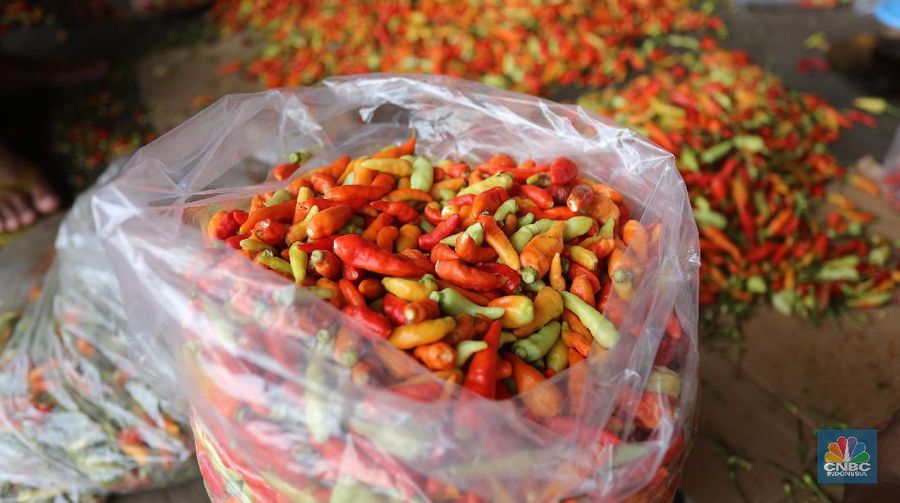 Sejumlah pedagang melakukan bongkar muat cabai rawit merah di Pasar Kramat Jati, Jakarta, Jumat (26/2/2021). Cabai rawit merah kini naik 100 ribu per kilogram yang sebelumnya hanya 60 ribu per kilogram, kenaikan diduga faktor dari cuaca ekstrem. Susanto (58) pedagang asal Jawa Tengah yang membuka lapak di Los H mengatakan