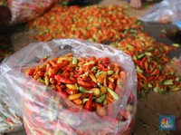 Kemendag Janji Harga Pangan Aman Hingga Ramadan 2022
