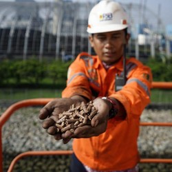 PLN Perbesar Campuran Biomassa 20% ke PLTU