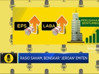 Rasio Saham, Bongkar 'Jeroan' Emiten