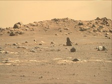 Planet Mars Alami Gempa Misterius dan Terdengar Bunyi Gemuruh