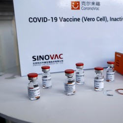 Vaksin Sinovac Kurang Kuat Lawan Varian Gamma Brasil