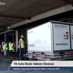 Top! RI Sudah Miliki 38 Juta Dosis Vaksin Sinovac