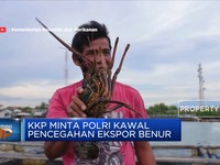Menteri KKP Larang Ekspor Benur