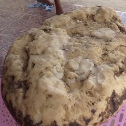 Ini 6 Penemuan Tak Disengaja yang Bikin Orang Mendadak Tajir!