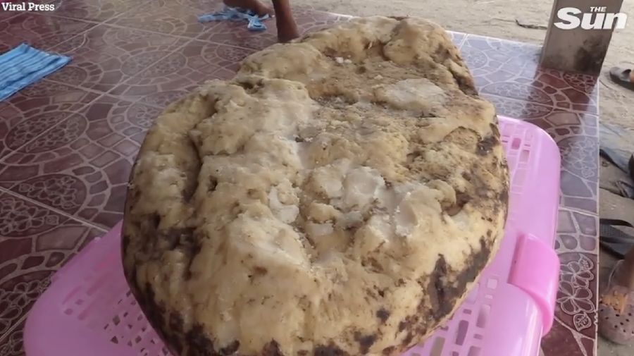 Bongkahan Whale VOMIT. (Tangkapan layar The Sun)