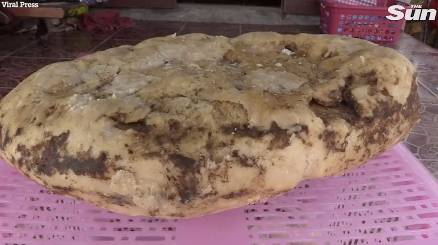 Bongkahan Whale VOMIT. (Tangkapan layar The Sun)