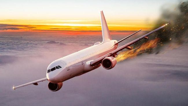 Mayday Mayday! Mesin Pesawat Boeing 737 Terbakar Usai Tabrak Burung
