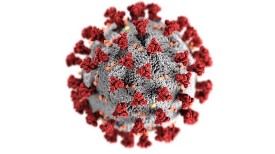 Ilustrasi Virus Covid-19 (Photo created by wirestock via Freepik)