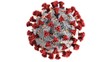3 Virus Ini Bisa Loncat dari Hewan ke Manusia, Picu Pandemi?