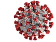 Virus Corona B1351, Varian Raja asal Afsel yang Lebih Seram!