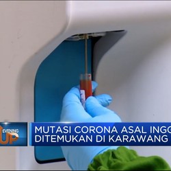 Mutasi Corona Asal Inggris Ditemukan Di Karawang.