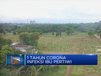 1 Tahun Corona Infeksi Ibu Pertiwi