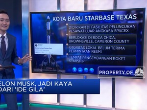 Elon Musk, Jadi Kaya  Dari 'Ide Gila'