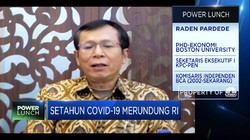 Evaluasi KPC-PEN di Setahun Penanganan Pandemi RI