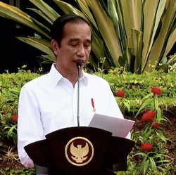 E-Commerce Bunuh UMKM: Data Impor Gini, Wajar Jokowi Murka!