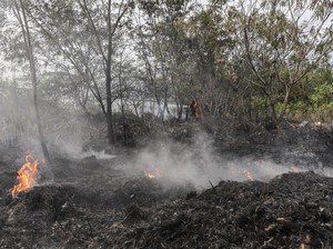 Hotspot di Sumsel Turun, Satgas Tetap Waspada Kebakaran Hutan dan Lahan
