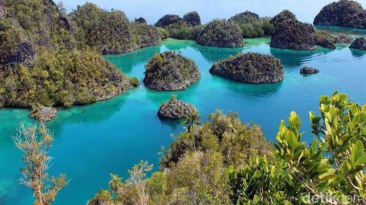 Raja Ampat, salah satu destinasi wisata bawah laut terbaik di Indonesia. (Randy/detikTravel)