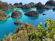 Menimbang Rasionalitas Ekonomi dan Ekologi