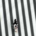 Covid Merajalela, Jepang Bakal Tetapkan Tokyo Status Darurat