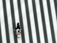 Covid Merajalela, Jepang Bakal Tetapkan Tokyo Status Darurat