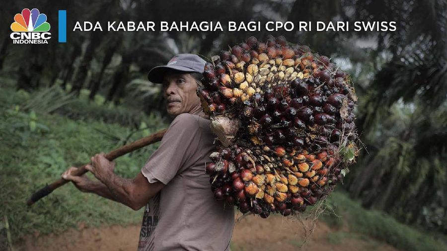 Ada Kabar Bahagia Bagi CPO RI dari Swiss
